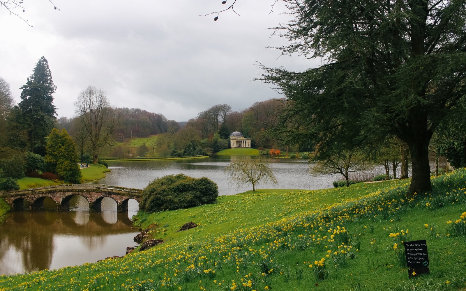 Bath in bloom: Your Top-10 guide to getting out in nature in Spring around Bath