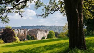 Victoria Park with tree in the foreground to the right of the frame with green grass and blue cloudy sky. Bath buildings stand tall and three adults sit in a circle in the sunshine.