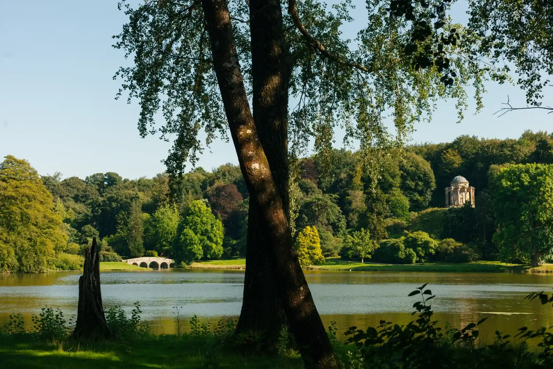 Stourhead Gardens view with Palladian Bridge and the temple of Apollo in view across the lake and many green trees and grass in foreground and background.