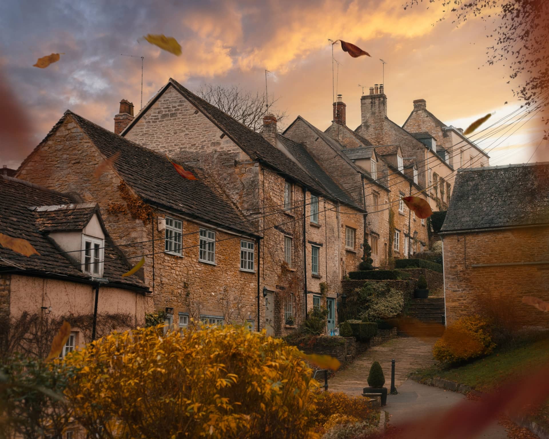 A beautiful street in Tetbury with houses lined up on one side. It is Autumn and golden leaves are falling. The sky is a stunning pink and purple sunset.